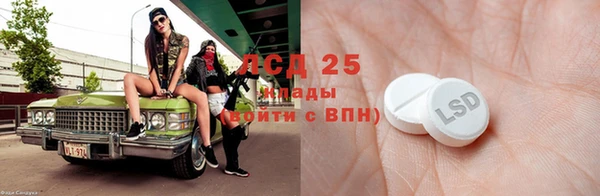 шишки Алексин