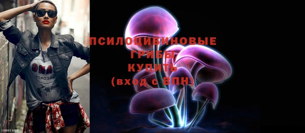 шишки Алексин