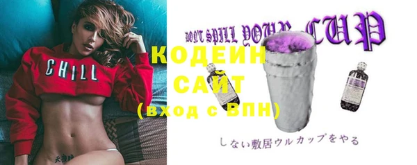 индика Дмитров