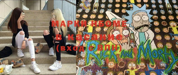 шишки Алексин