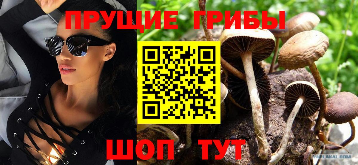 Галлюциногенные грибы Cubensis Ревда