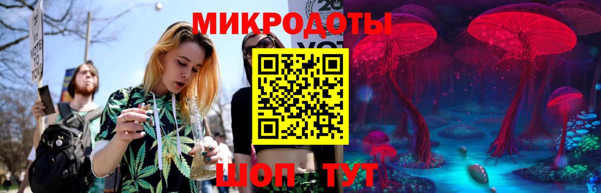 Ревда  Псилоцибиновые грибы Cubensis  Вход с VPN 